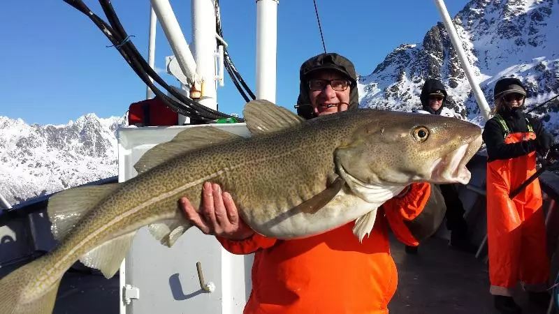 Fotos del hotel Anker Brygge:  11