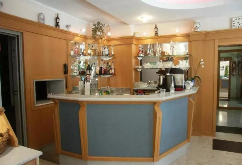 Fotos del hotel Manzoni:  4