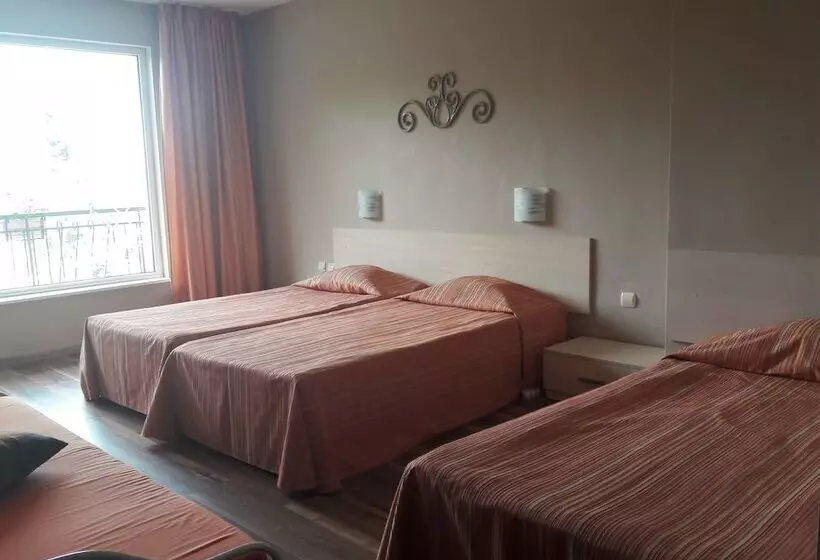 Fotos del hotel Motivi:  13