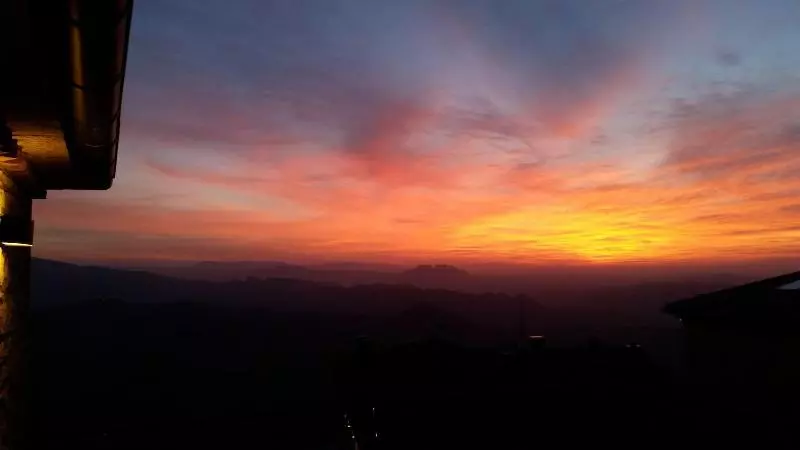 Fotos del hotel Rosa:  7