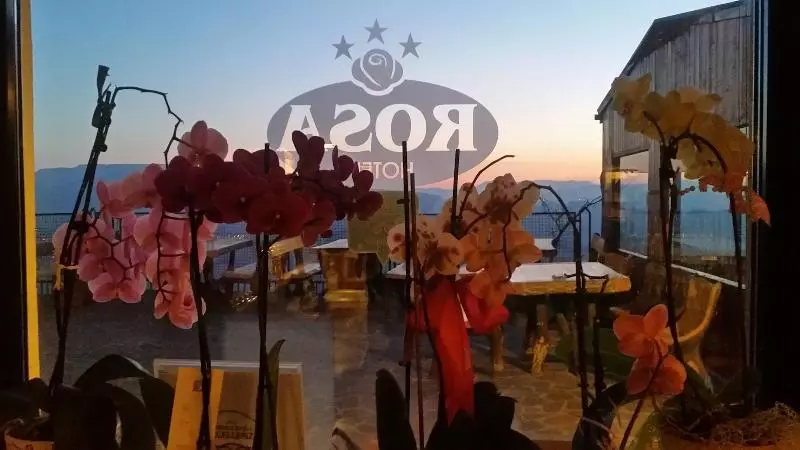 Fotos del hotel Rosa:  20