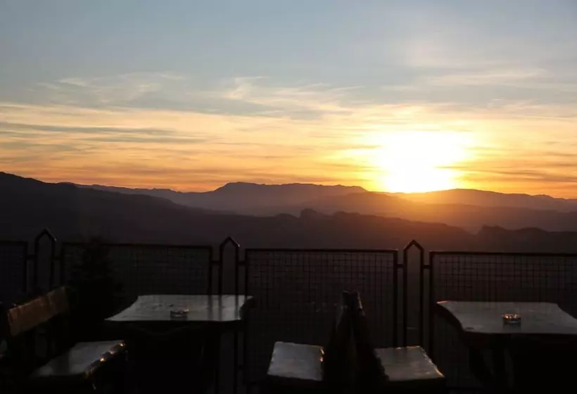 Fotos del hotel Rosa:  23