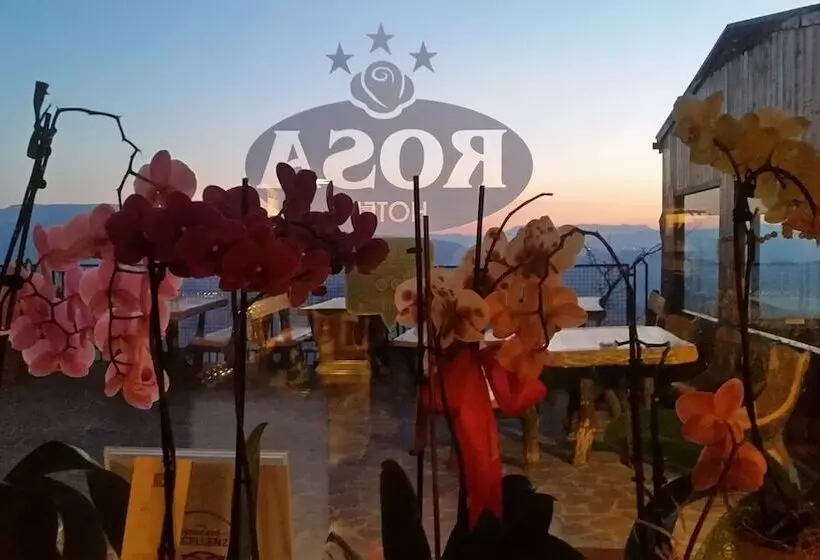 Fotos del hotel Rosa:  25