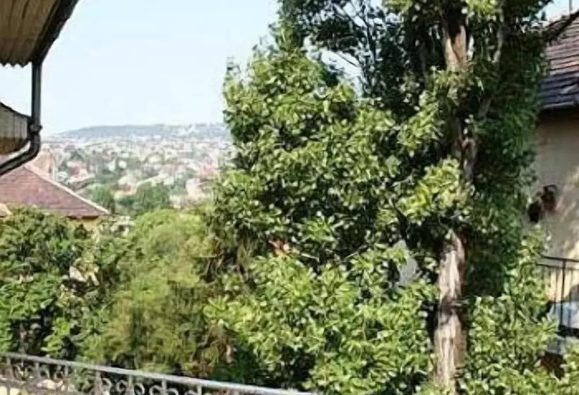 Fotos del hotel Kristal:  11