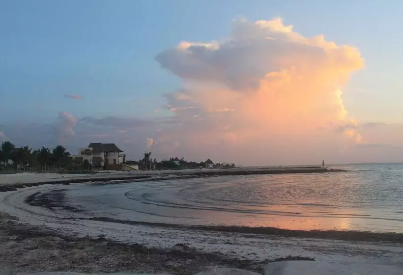 Fotos del hotel Puerto Holbox:  4