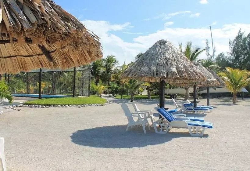 Fotos del hotel Puerto Holbox:  5