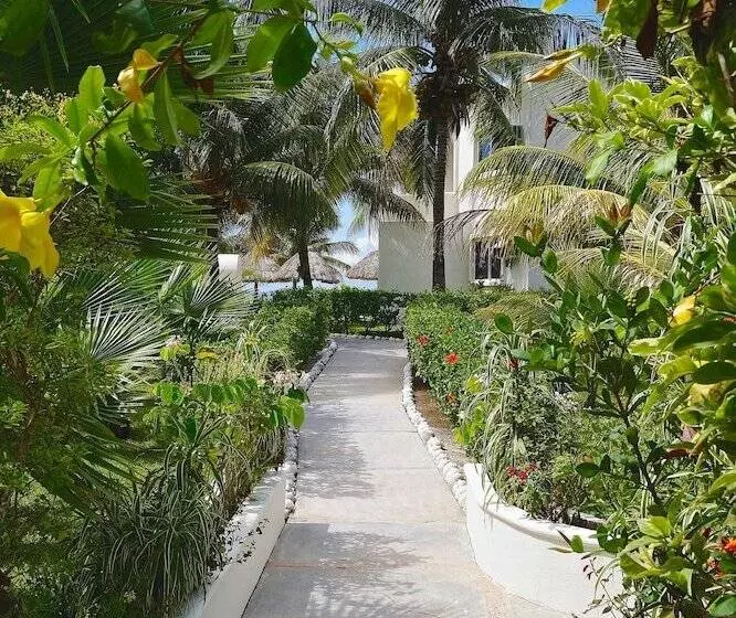 Fotos del hotel Puerto Holbox:  25