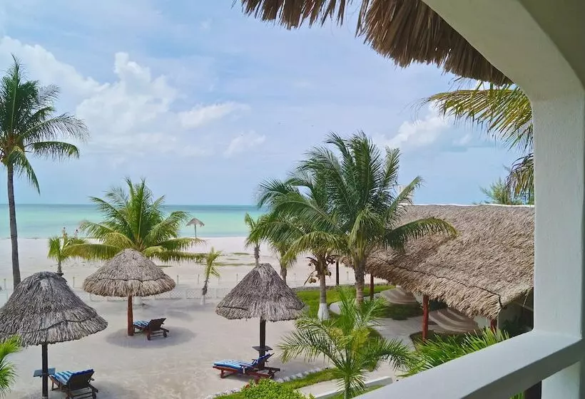 Fotos del hotel Puerto Holbox:  9