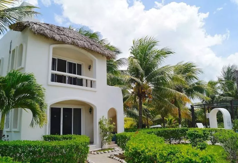 Fotos del hotel Puerto Holbox:  16