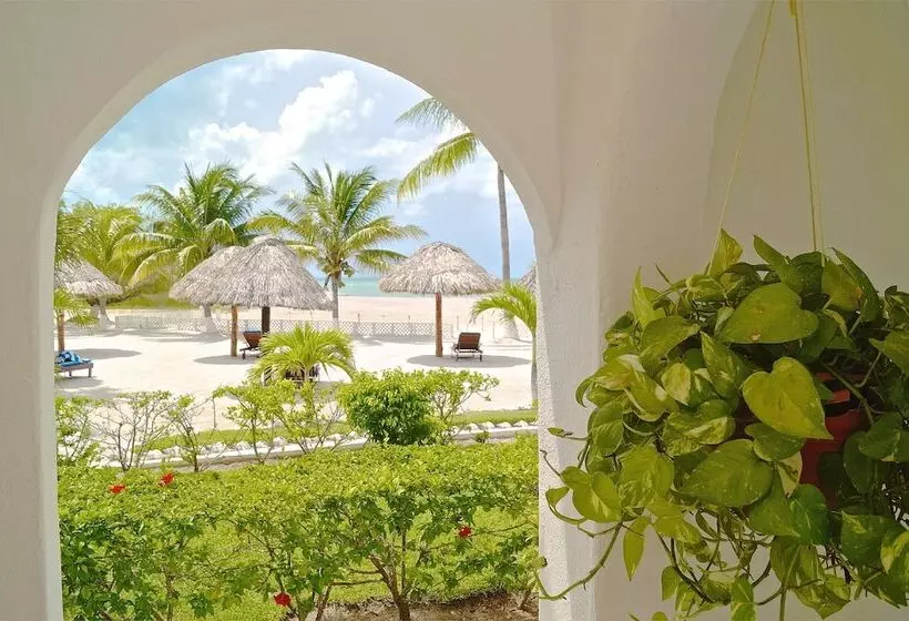 Fotos del hotel Puerto Holbox:  19