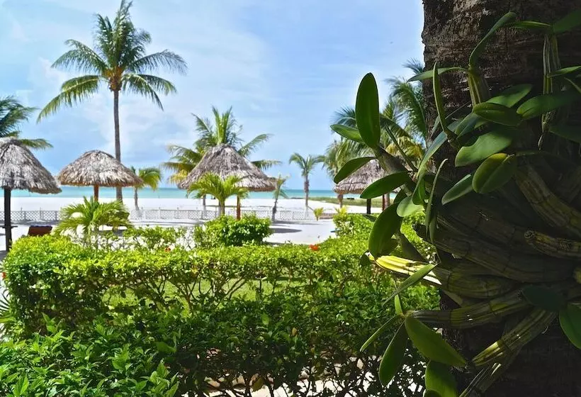 Fotos del hotel Puerto Holbox:  7