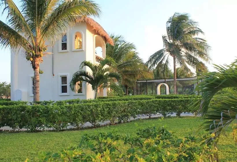 Fotos del hotel Puerto Holbox:  14