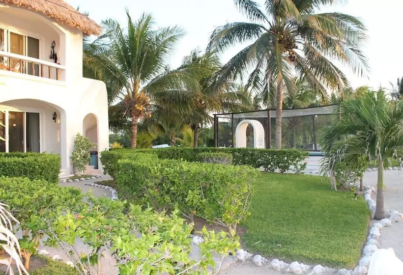 Fotos del hotel Puerto Holbox:  22