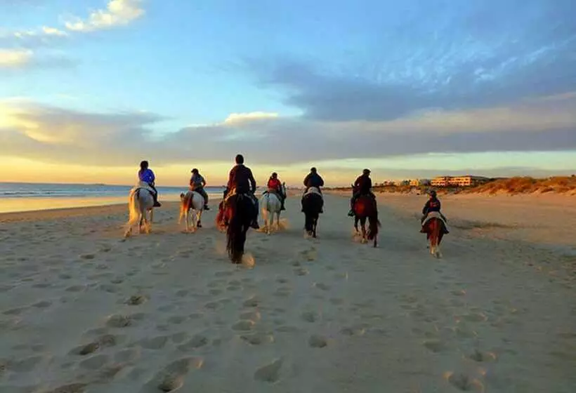 Fotos del hotel Puerto Holbox:  3