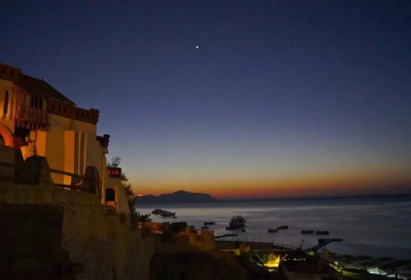 Fotos del hotel Sharks Bay Umbi Diving Village:  14