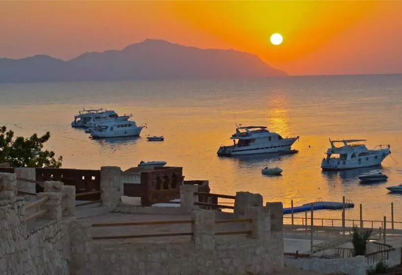 Fotos del hotel Sharks Bay Umbi Diving Village:  20