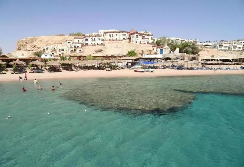 Fotos del hotel Sharks Bay Umbi Diving Village:  6