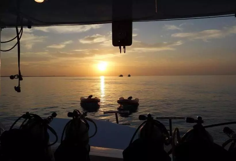 Fotos del hotel Sharks Bay Umbi Diving Village:  21