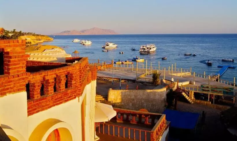 Fotos del hotel Sharks Bay Umbi Diving Village:  10