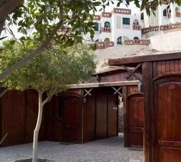 Fotos del hotel Sharks Bay Umbi Diving Village:  16