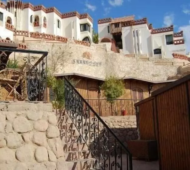 Fotos del hotel Sharks Bay Umbi Diving Village:  19