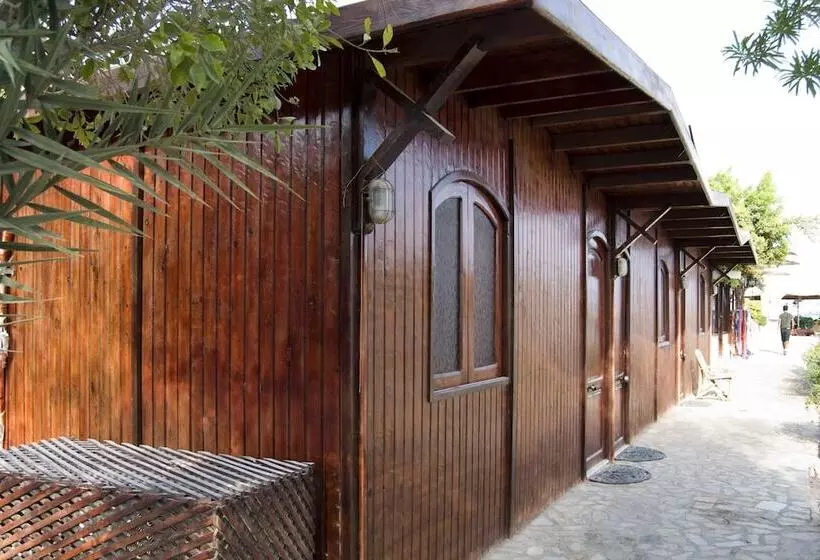 Fotos del hotel Sharks Bay Umbi Diving Village:  24