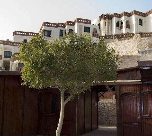 Fotos del hotel Sharks Bay Umbi Diving Village:  23