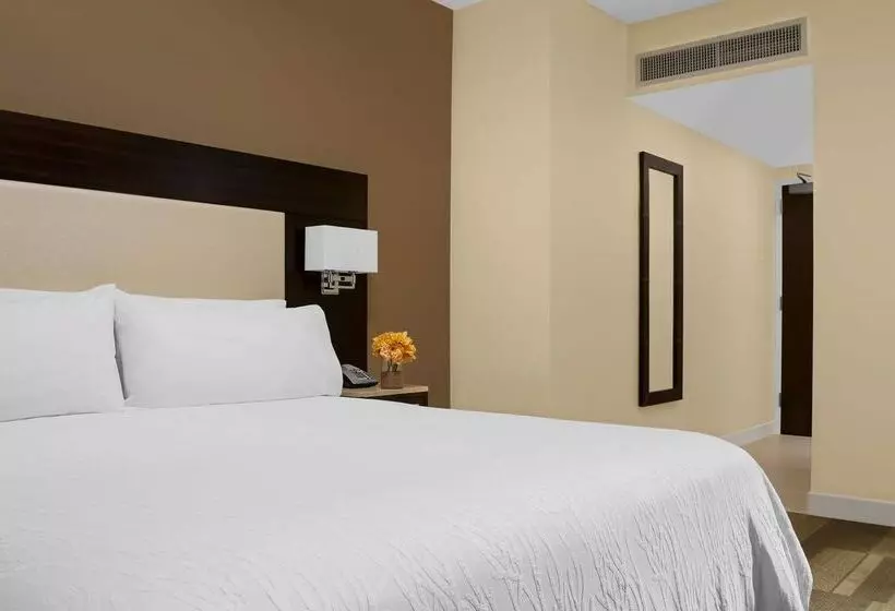 Fotos del hotel Hilton Garden Inn Times Square Central:  12