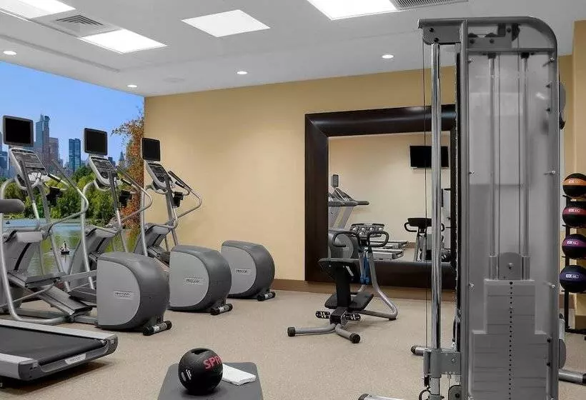 Fotos del hotel Hilton Garden Inn Times Square Central:  4