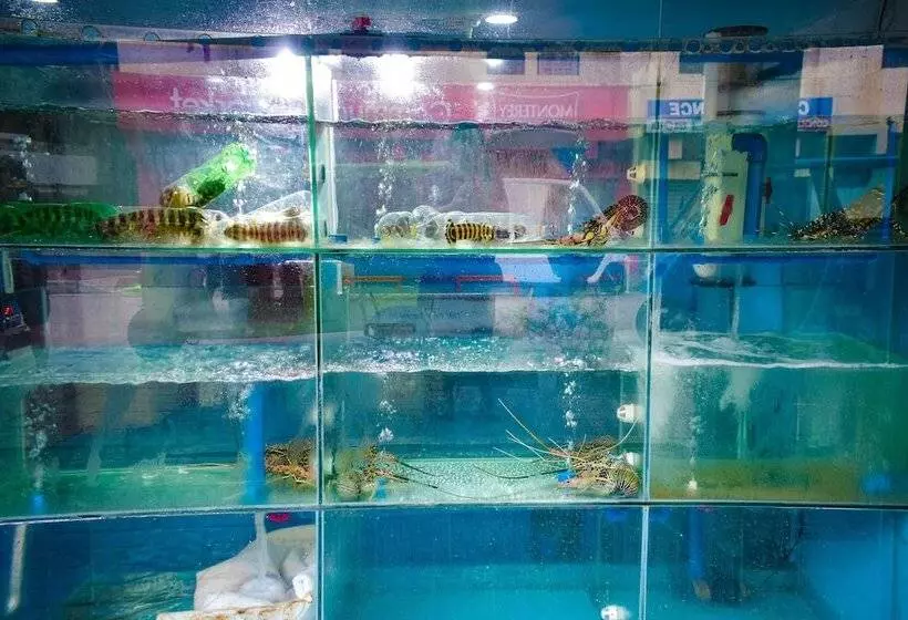 Fotos del hotel Erus  Boracay:  5