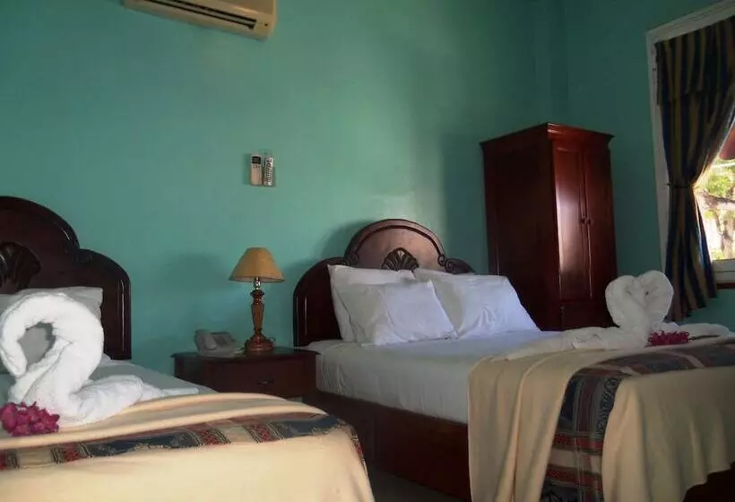 Fotos del hotel Discovery:  23