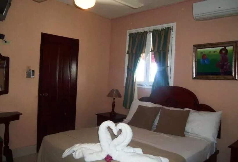 Fotos del hotel Discovery:  22