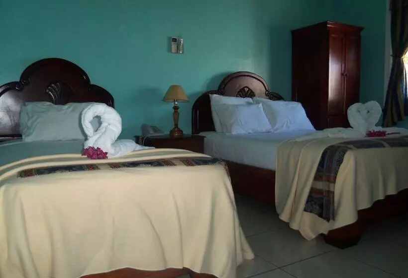 Fotos del hotel Discovery:  8