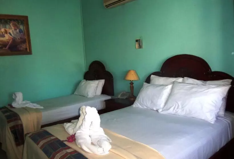 Fotos del hotel Discovery:  11