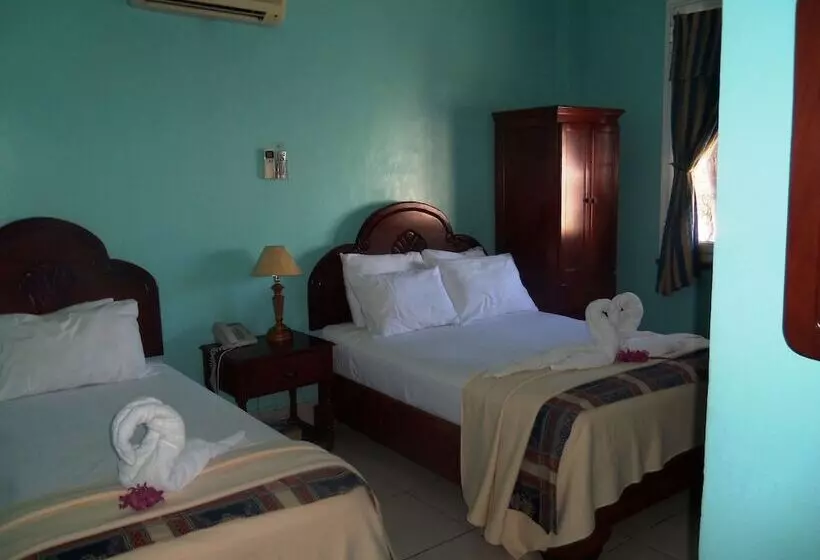 Fotos del hotel Discovery:  19