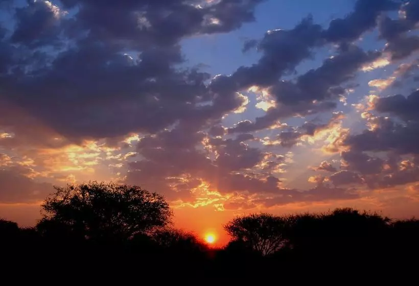 Fotos del hotel Arebbusch Travel Lodge:  3