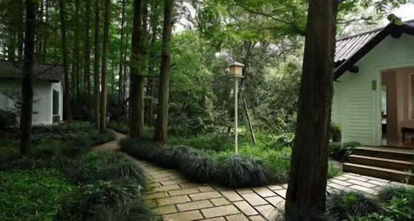 Fotos del hotel Lotus Glade 52:  5