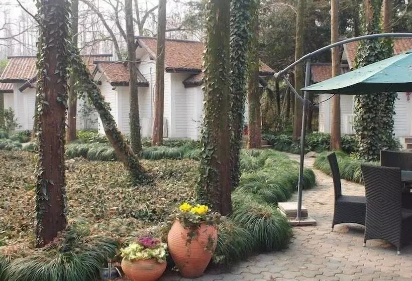 Fotos del hotel Lotus Glade 52:  8