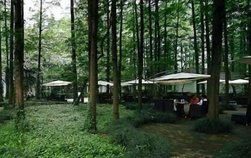 Fotos del hotel Lotus Glade 52:  22