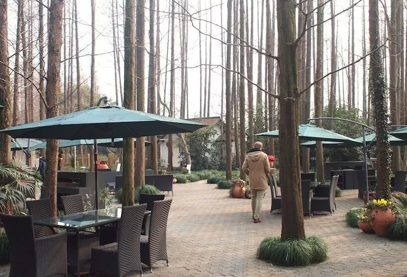 Fotos del hotel Lotus Glade 52:  3