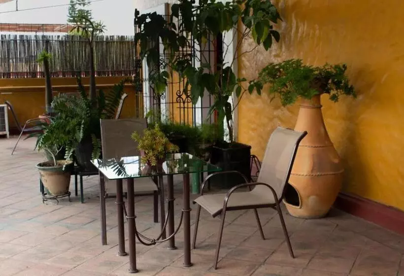 Fotos del hotel Boutique Casa Catrina:  5