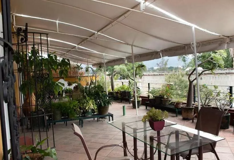 Fotos del hotel Boutique Casa Catrina:  2