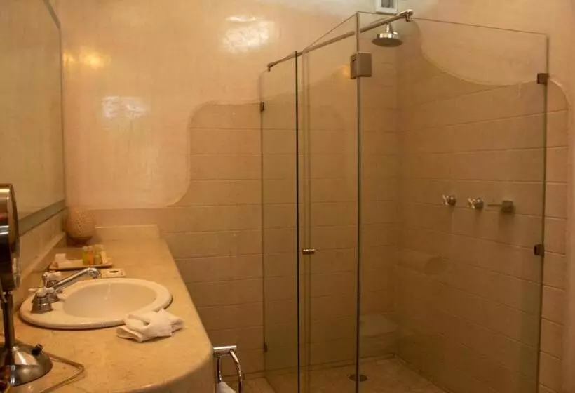 Fotos del hotel Boutique Casa Catrina:  18