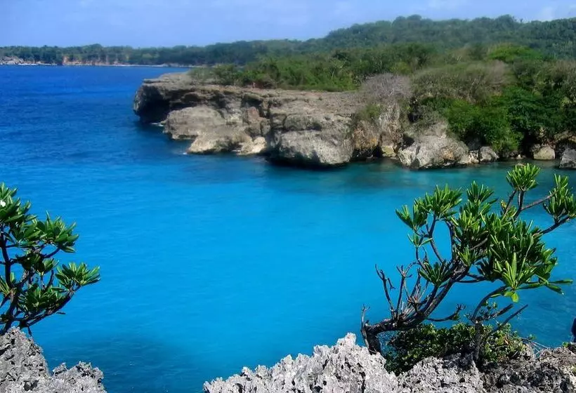 Fotos del hotel Great Huts:  3