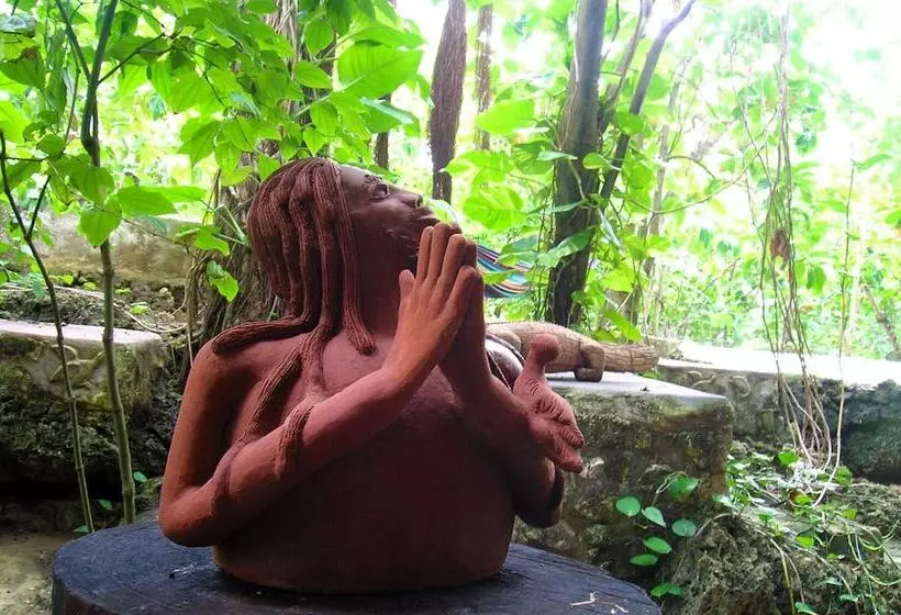 Fotos del hotel Great Huts:  15