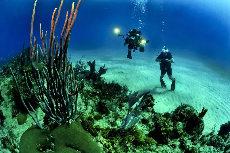 Fotos del hotel Maestral Resort & Casino:  21