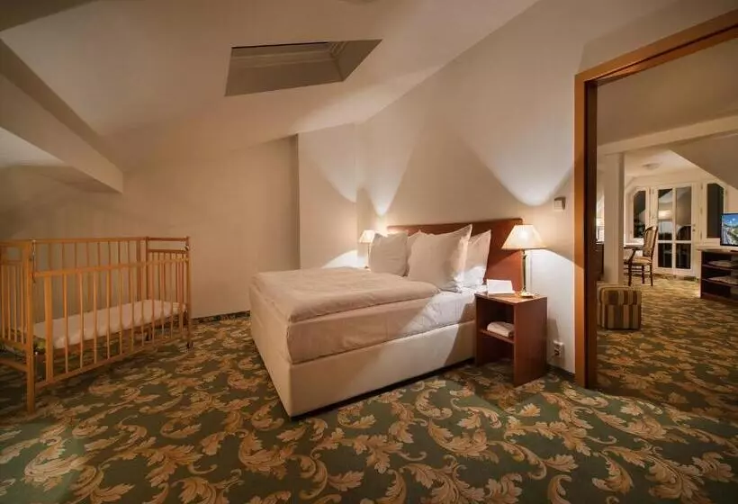 Fotos del hotel Ea Hotel Elefant:  13