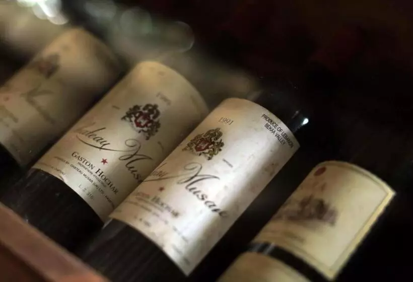 Fotos del hotel Boutique Hotel Las Islas - Adults Only:  14