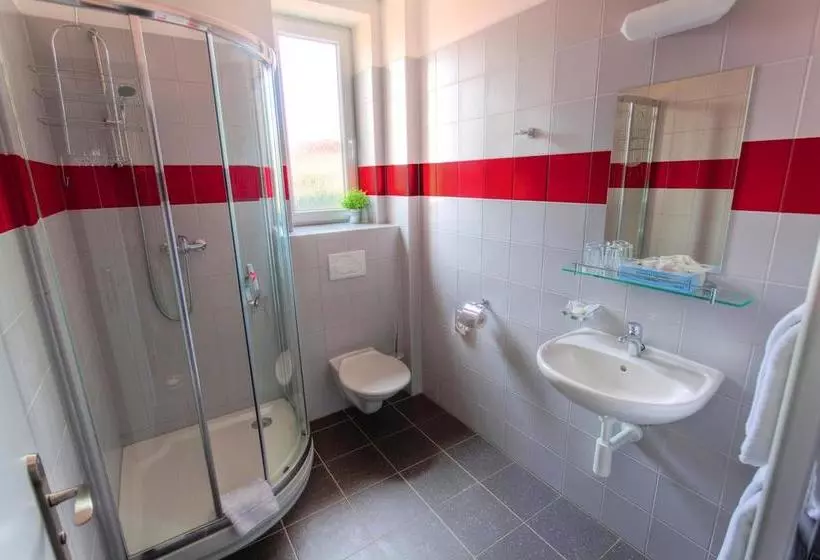 Fotos del hotel Albellus:  4