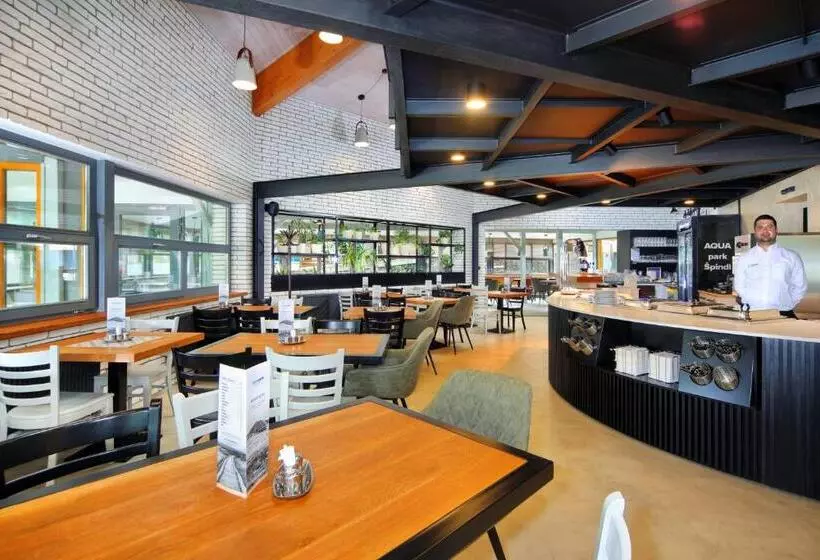 Fotos del hotel Aqua Park špindler?v Mlýn:  3